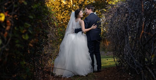 bride and groom amongst grape vines