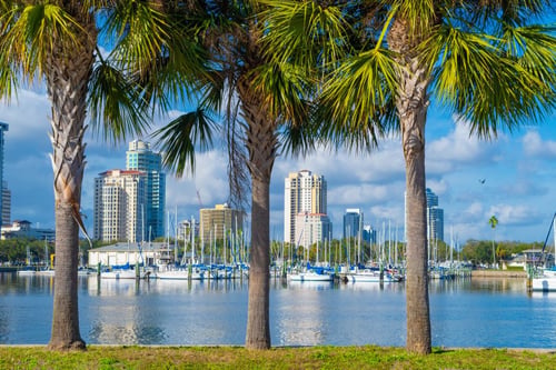 Moving to Florida? 11 Things to Know | Bella Collina