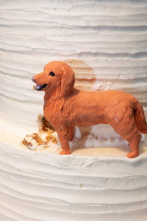Bella_Collina_Luxury_Wedding_Cakes-5