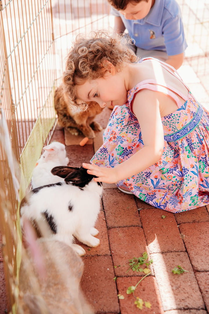 Girl petting rabbit at Bella Collina member event