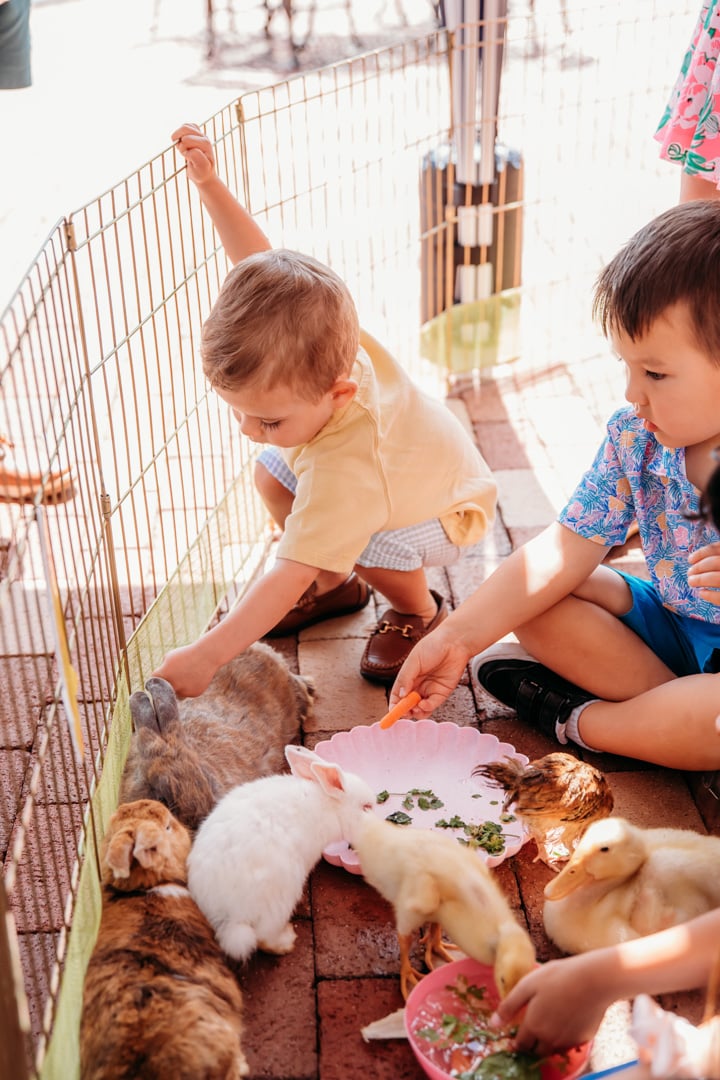 Kids petting animals at Bella Collina special event