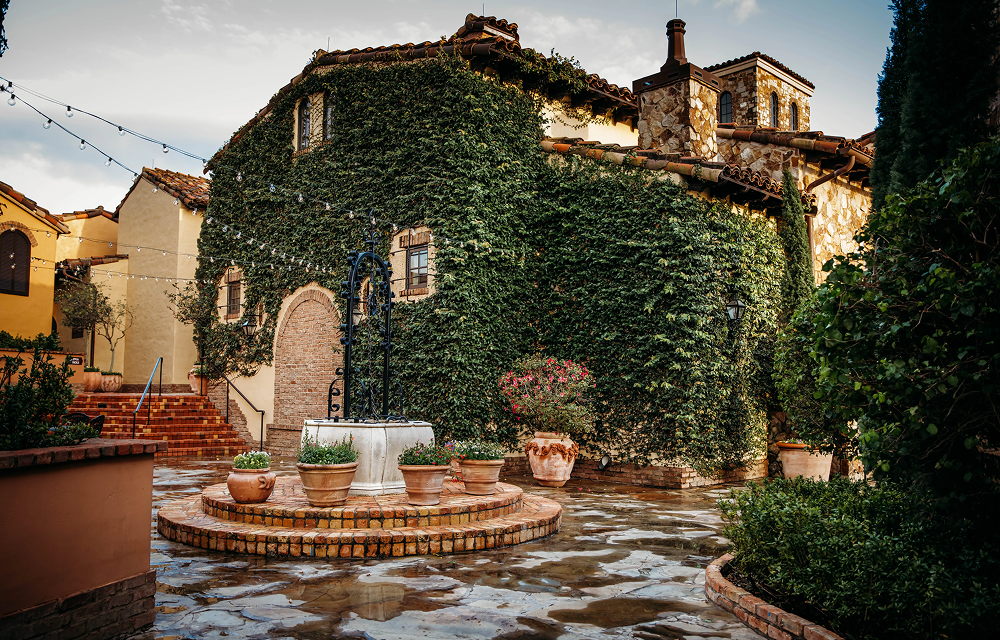 View of an ivied wall at the Club at Bella Collina