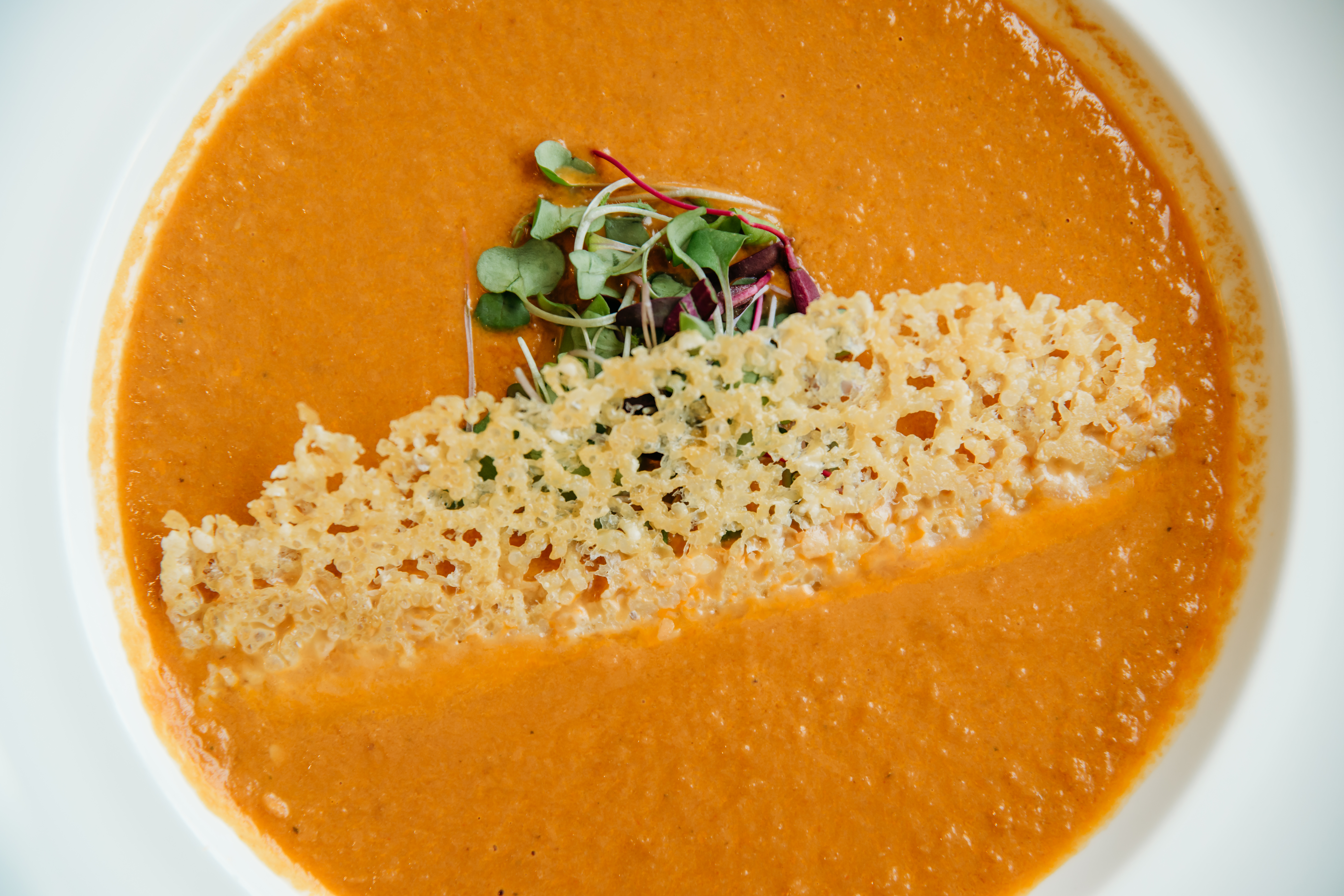 Creamy Roasted Tomato Soup Parmesan Crisp at Bella Collina