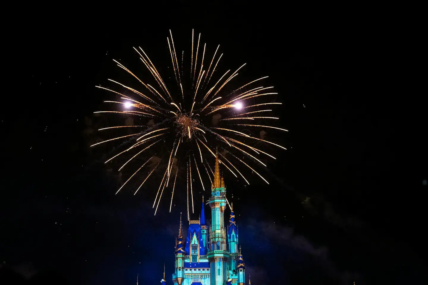 Fireworks at Walt Disney World Theme Park